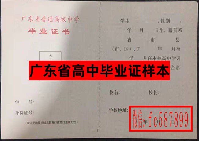 广东2_副本.jpg