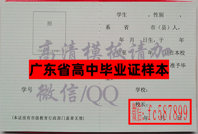 广东3_副本.png
